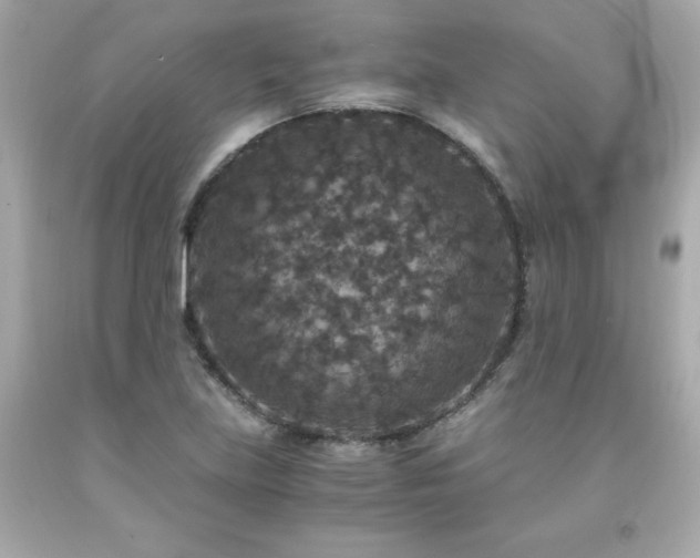 X0000091941219200709121612