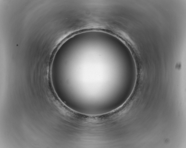 X0000091941220200709121612