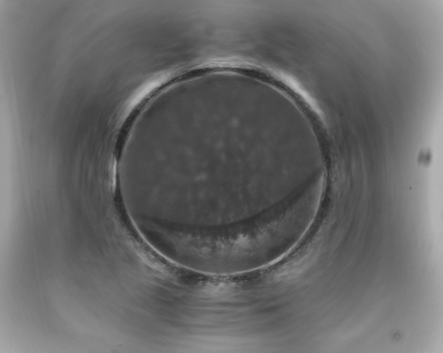 X0000091941221200709121612