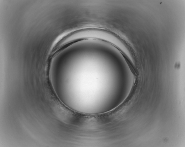 X0000091941222200709121612