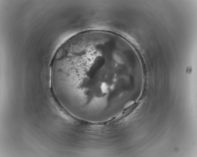 X0000091941223200709121612