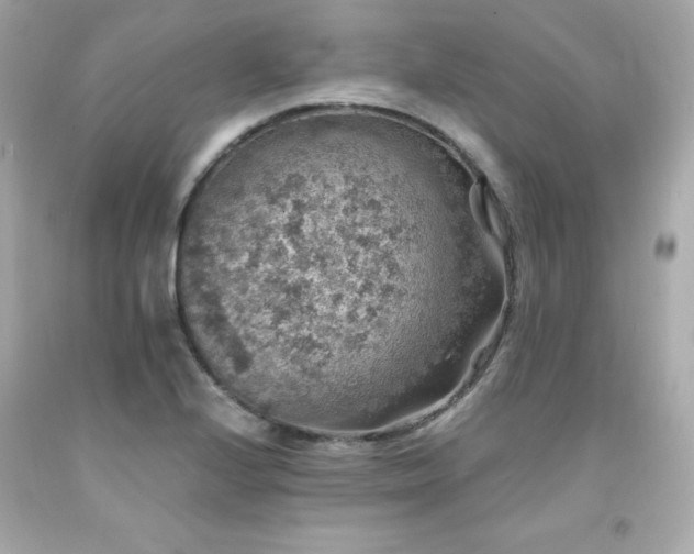 X0000091941224200709121612