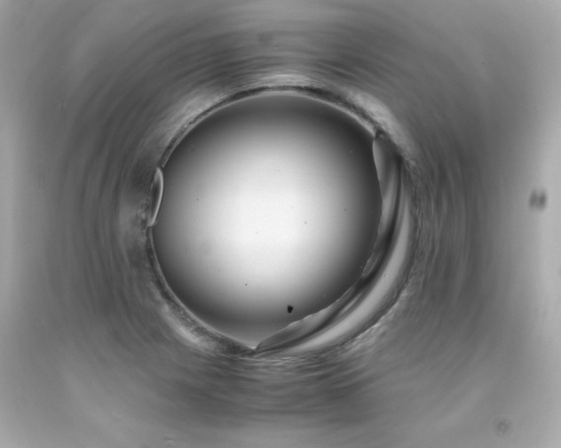 X0000091941225200709121612