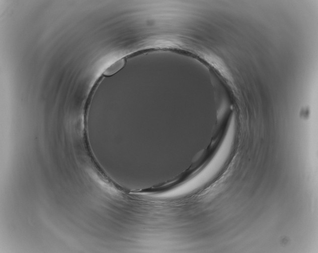 X0000091941226200709121612