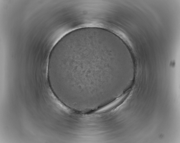 X0000091941228200709121612