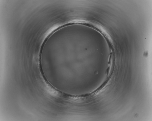 X0000091941229200709121612