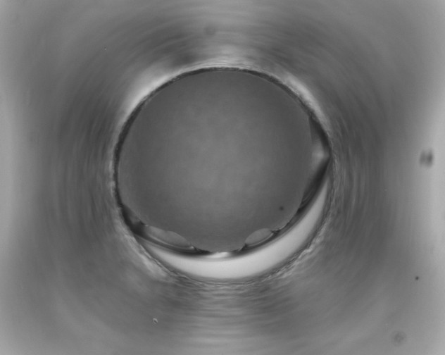 X0000091941230200709121612