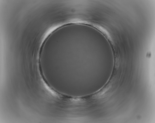 X0000091941231200709121613