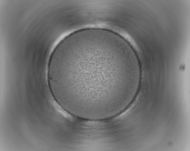 X0000091941232200709121613