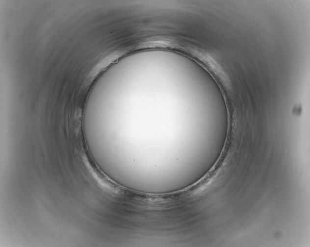 X0000091941233200709121613