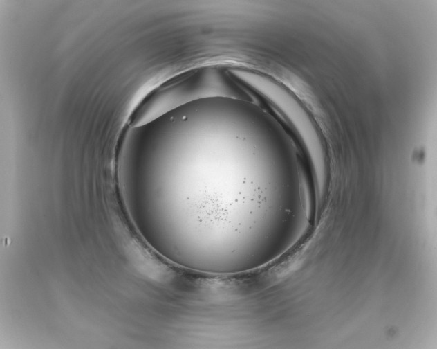 X0000091941234200709121613