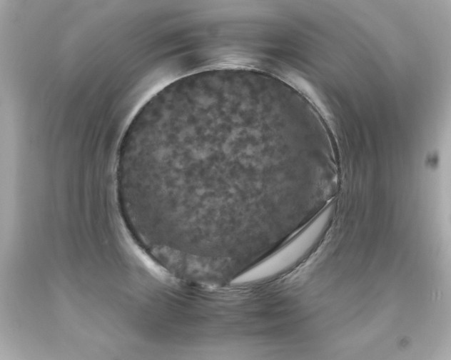 X0000091941235200709121613