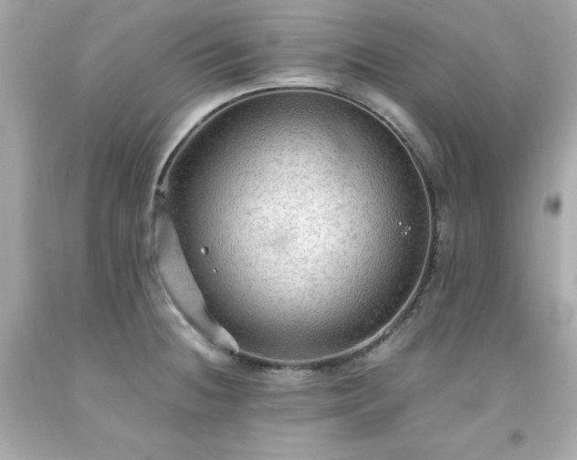 X0000091941236200709121613