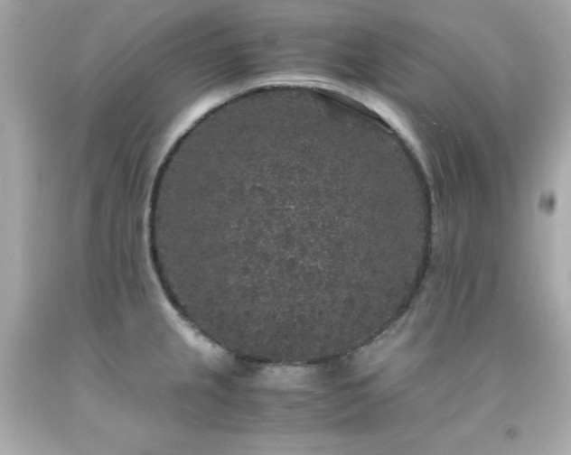 X0000091941237200709121613