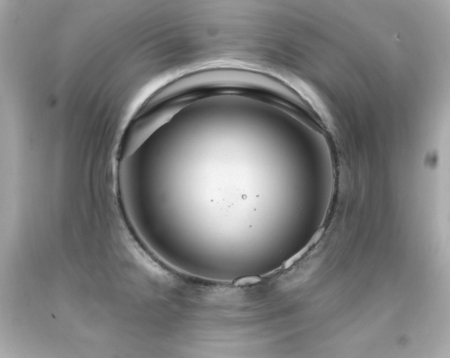 X0000091941238200709121613