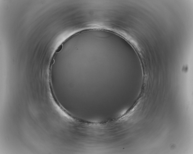 X0000091941239200709121613