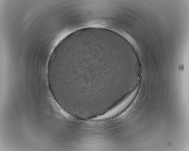 X0000091941240200709121613