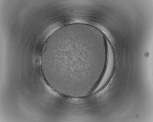 X0000091941241200709121613