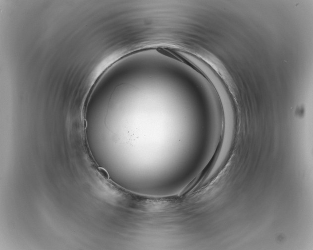 X0000091941242200709121613