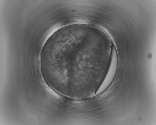 X0000091941243200709121613