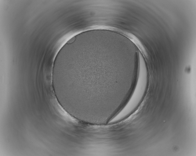 X0000091941244200709121613