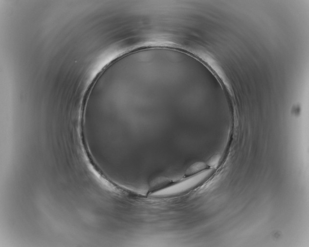 X0000091941245200709121613