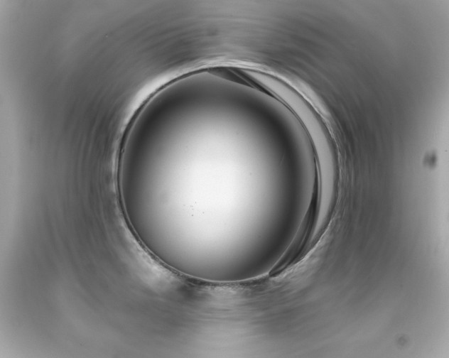 X0000091941246200709121613