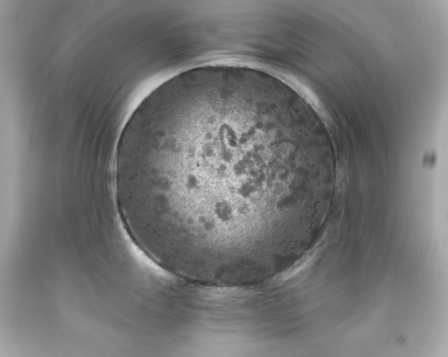 X0000091941247200709121613