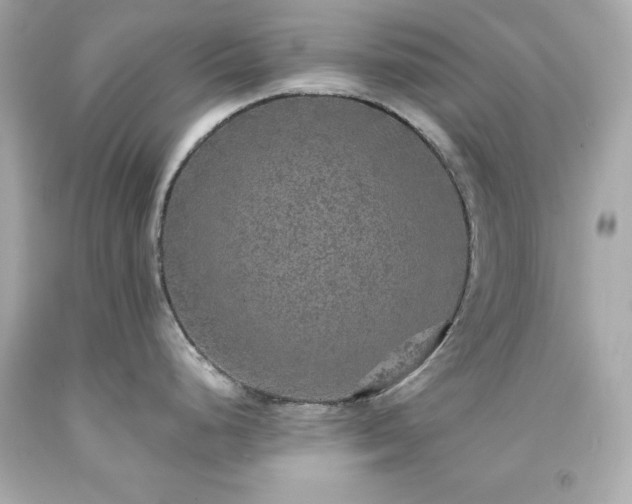 X0000091941248200709121613