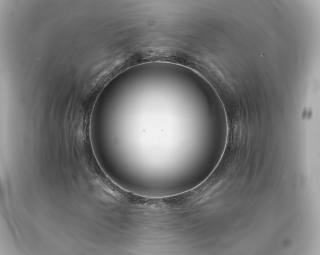 X0000091941250200709121612