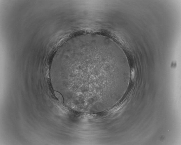 X0000091941251200709121612