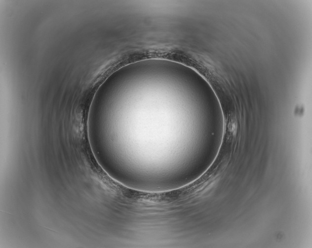 X0000091941252200709121612