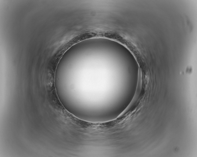 X0000091941253200709121612