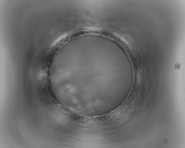 X0000091941254200709121612