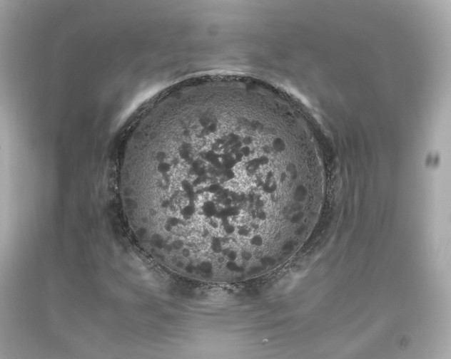 X0000091941255200709121612