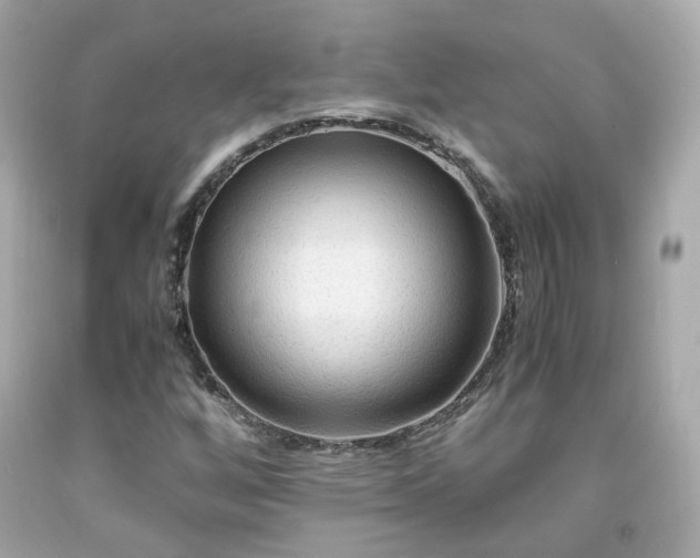 X0000091941256200709121612