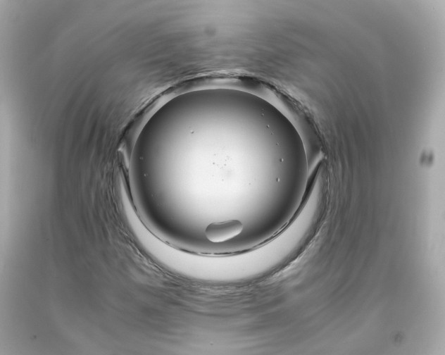 X0000091941257200709121612