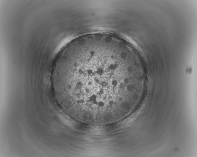 X0000091941259200709121612