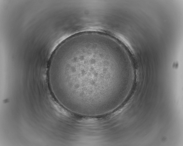 X0000091941260200709121612