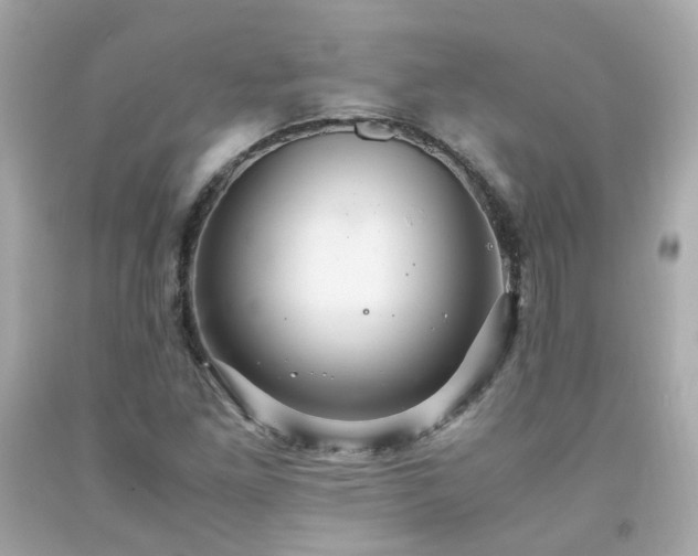 X0000091941261200709121612