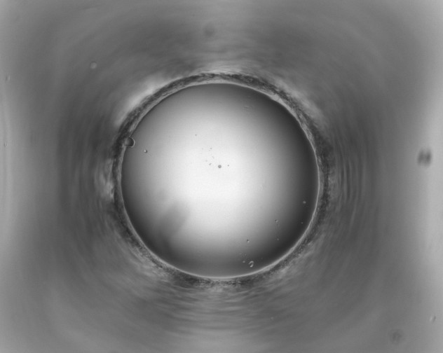 X0000091941262200709121612