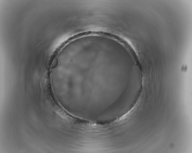 X0000091941263200709121612