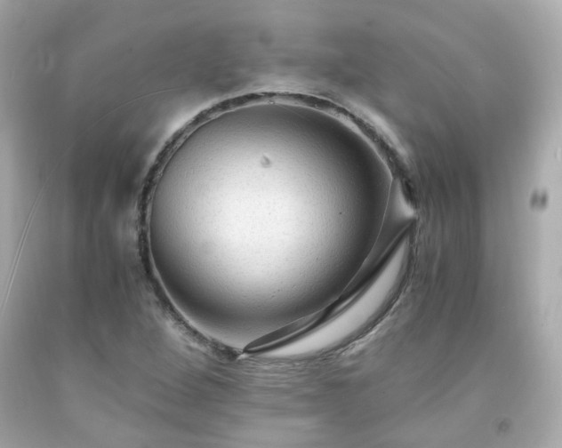 X0000091941264200709121612