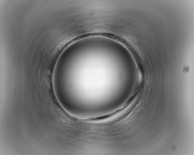 X0000091941265200709121612