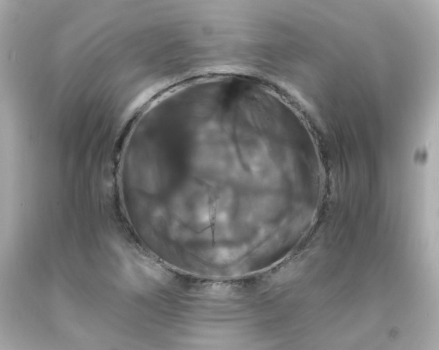 X0000091941266200709121612