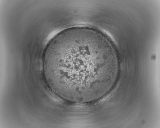 X0000091941267200709121612