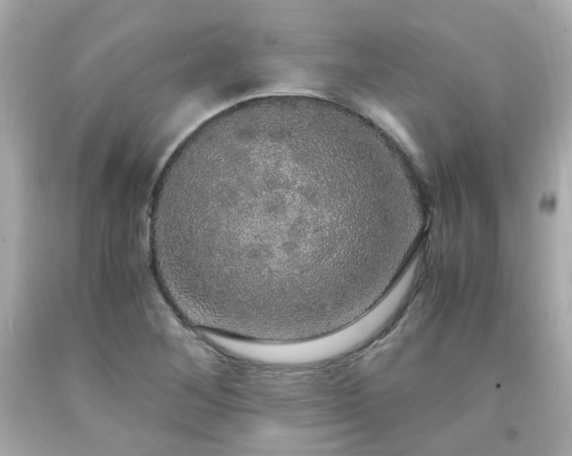 X0000091941268200709121612