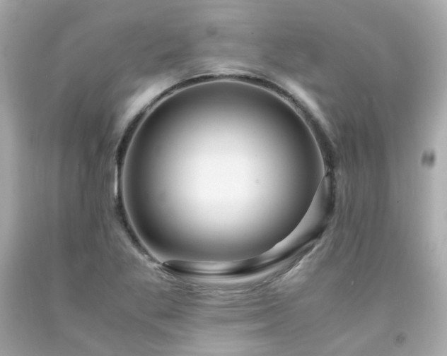 X0000091941269200709121612