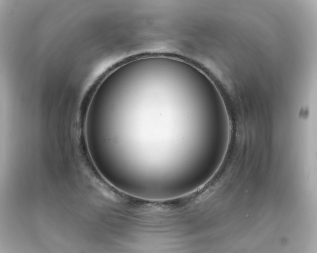 X0000091941270200709121612