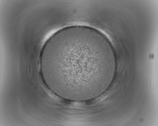 X0000091941271200709121612